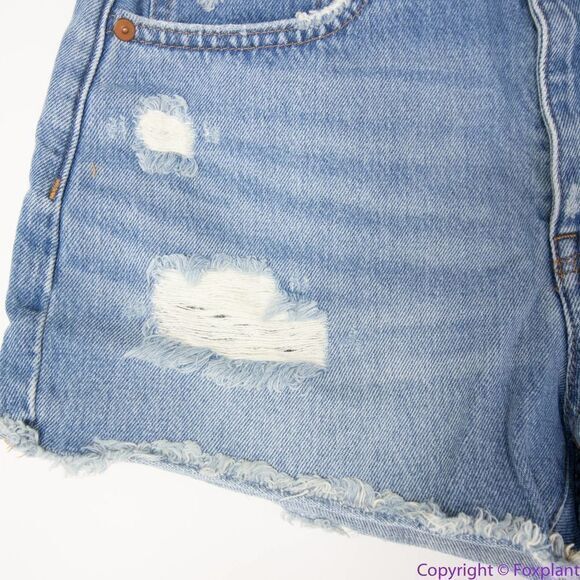 NEW Madewell Relaxed Denim Shorts in Homecrest Wash: Ripped Edition, 26 - Picture 6 of 16